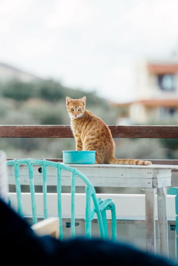 Saveriako, Paradise For Relaxed Free Spirits Villa Agia Pelagia  Buitenkant foto