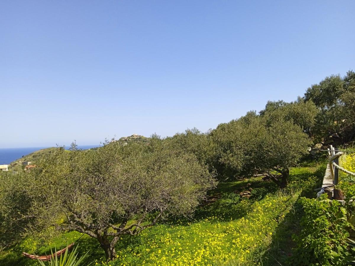 Saveriako, Paradise For Relaxed Free Spirits Villa Agia Pelagia  Buitenkant foto