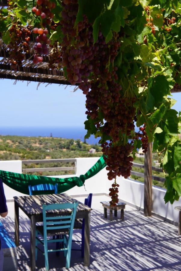 Saveriako, Paradise For Relaxed Free Spirits Villa Agia Pelagia  Buitenkant foto