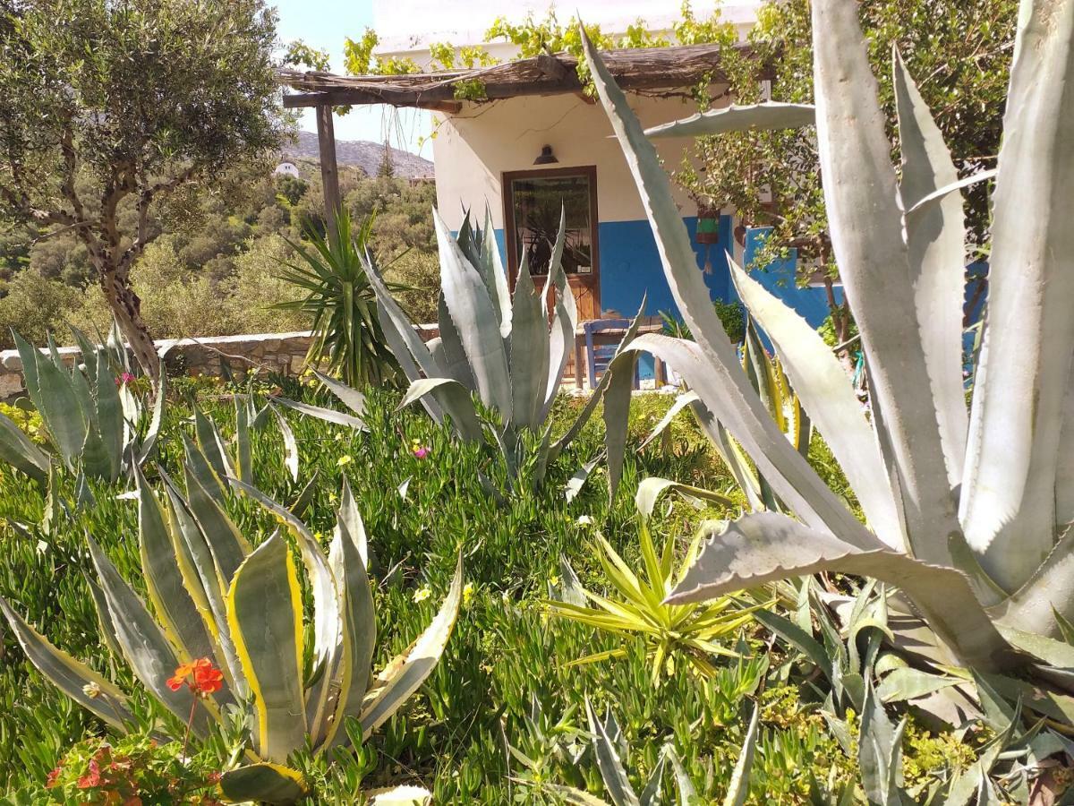 Saveriako, Paradise For Relaxed Free Spirits Villa Agia Pelagia  Buitenkant foto